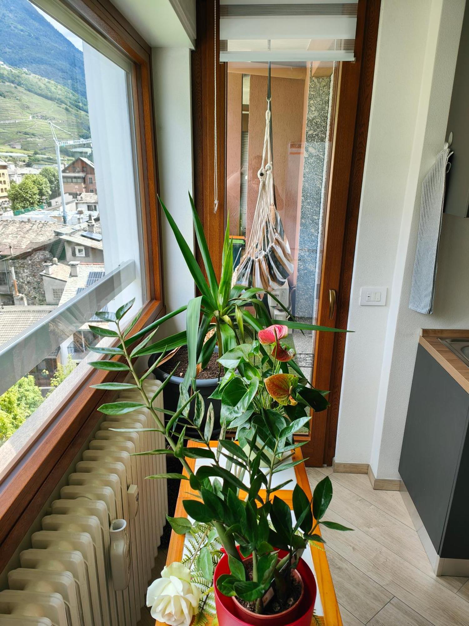 Apartmán Alfiumea Tirano Exteriér fotografie
